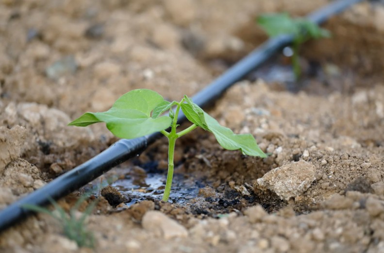 Drip bed irrigation systems Greensboro NC